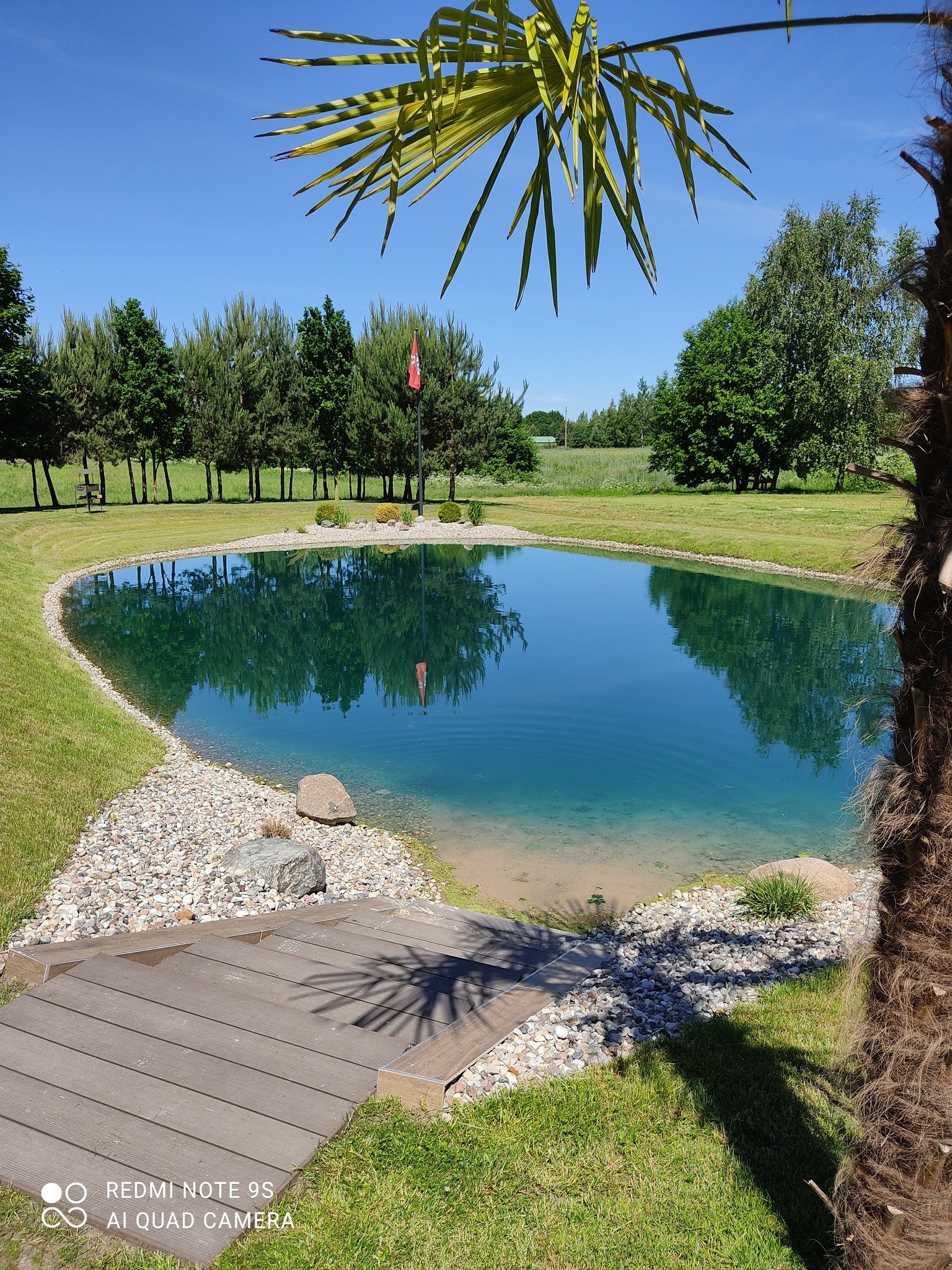 285720018-101037432640583-1931583619494954395-n